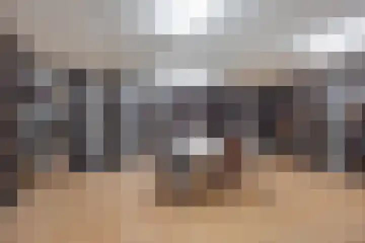 Bordeslaan 381 's-Hertogenbosch thumbnail 36