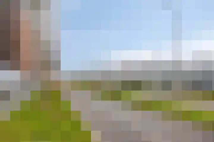 Bordeslaan 381 's-Hertogenbosch thumbnail 50