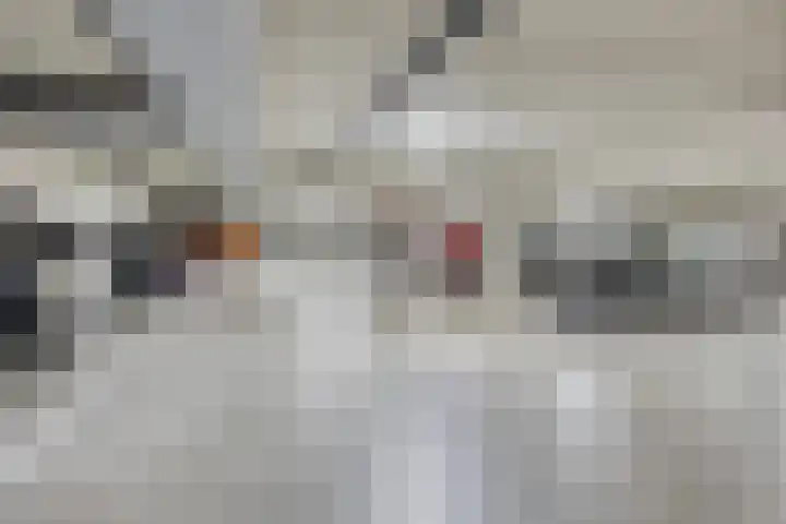Bordeslaan 384 's-Hertogenbosch thumbnail 20