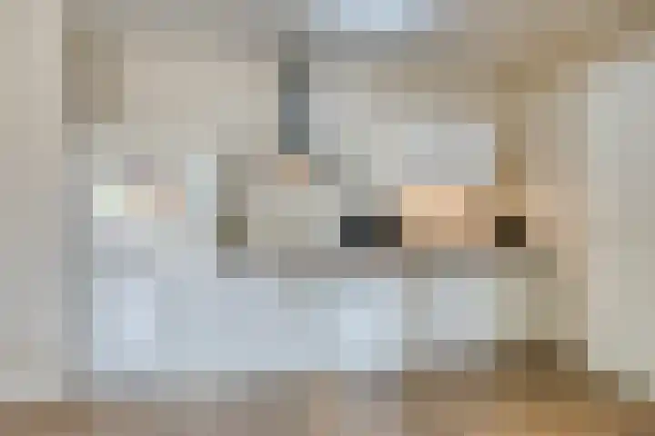 Bordeslaan 384 's-Hertogenbosch thumbnail 9
