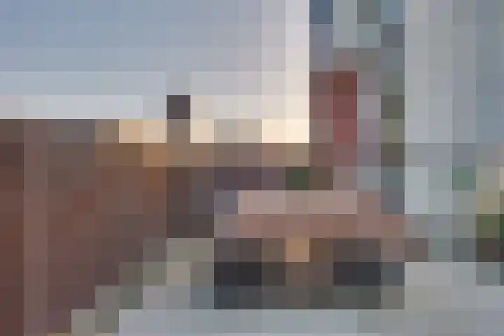 Bordeslaan 399 's-Hertogenbosch thumbnail 27