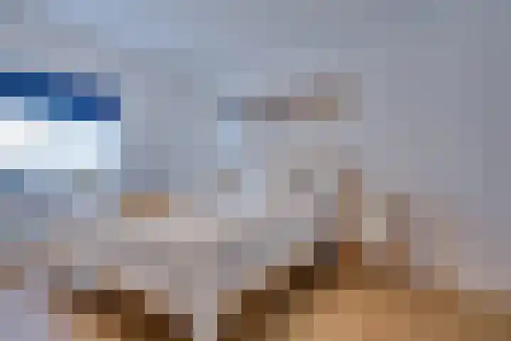 Bordeslaan 399 's-Hertogenbosch thumbnail 30
