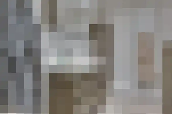 Bordeslaan 399 's-Hertogenbosch thumbnail 34