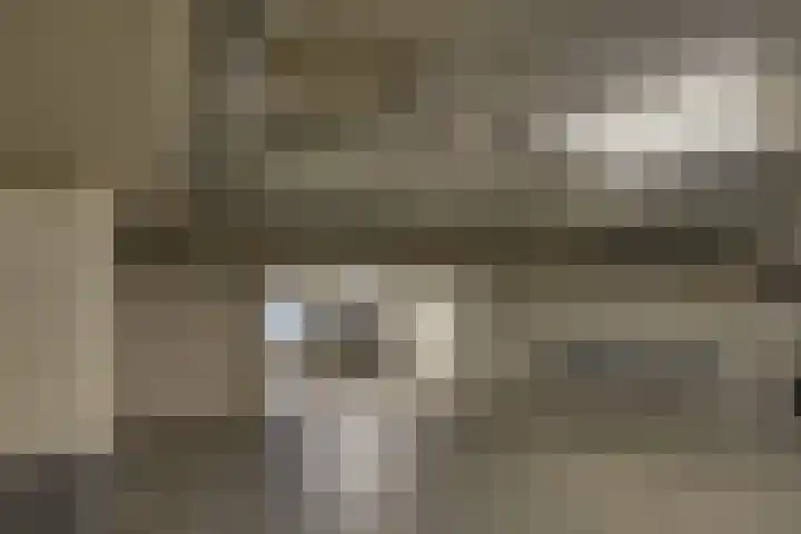 Bordeslaan 399 's-Hertogenbosch thumbnail 42