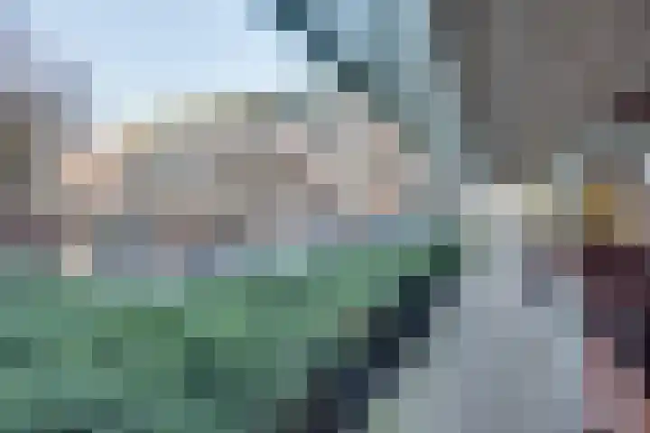 Bordeslaan 399 's-Hertogenbosch thumbnail 5