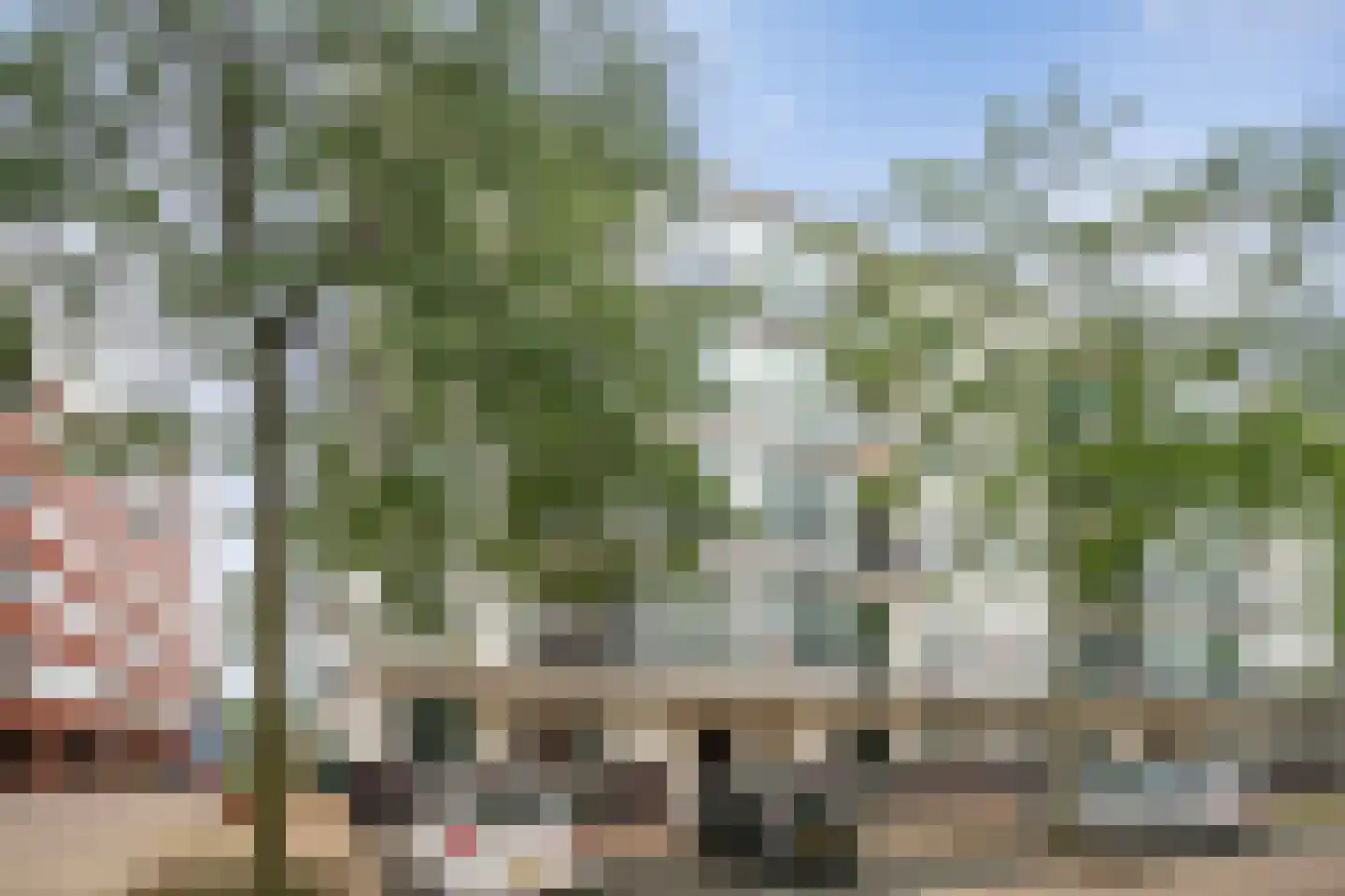 Bordeslaan 40 's-Hertogenbosch thumbnail 36