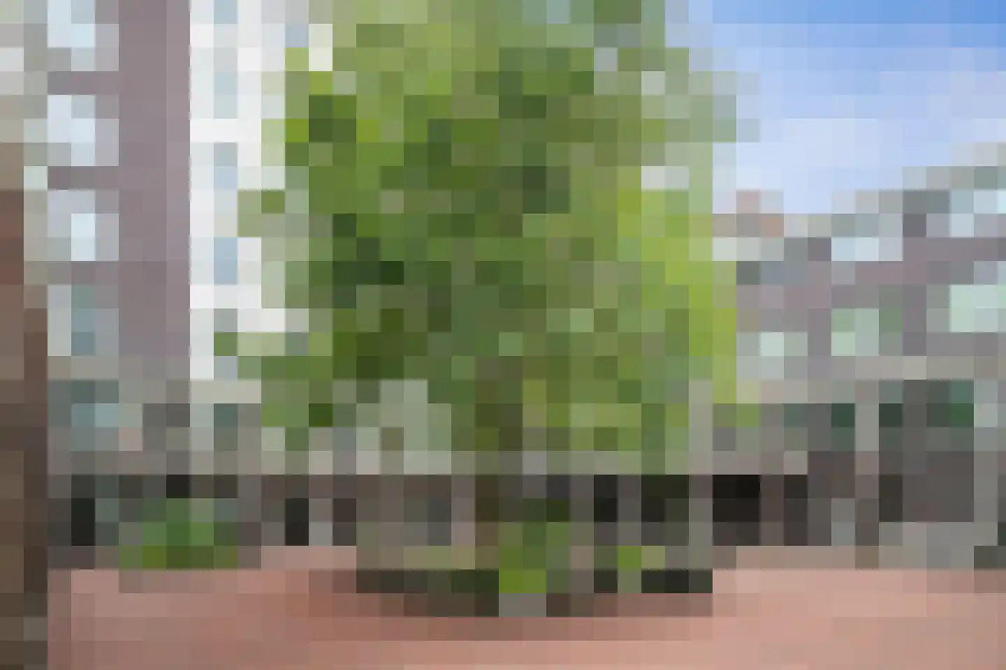 Bordeslaan 40 's-Hertogenbosch thumbnail 38