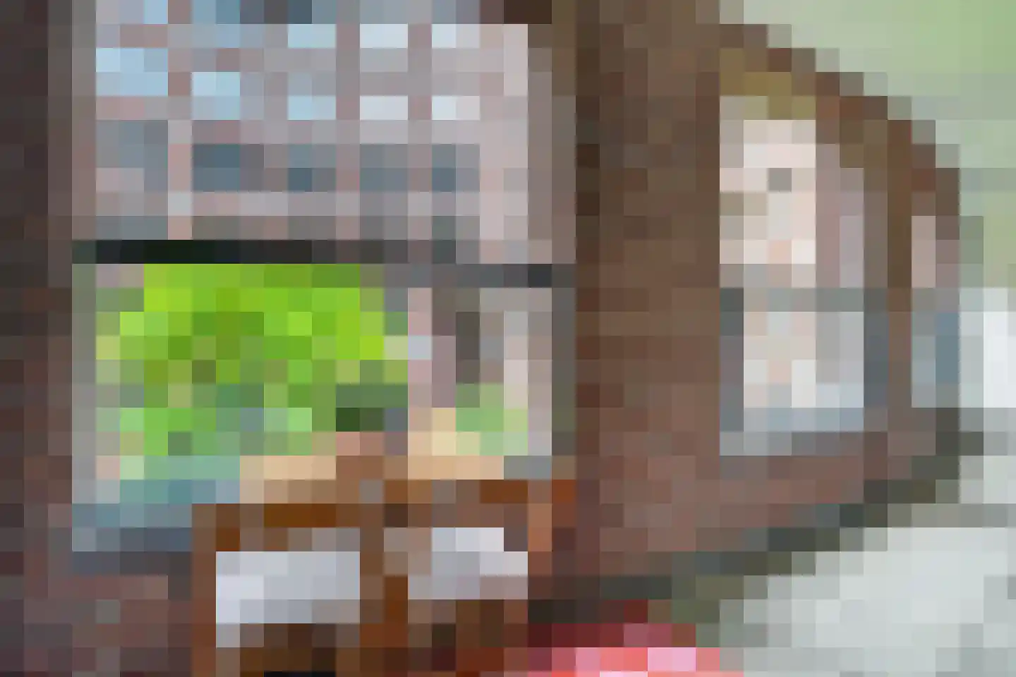 Bordeslaan 416 's-Hertogenbosch thumbnail 25