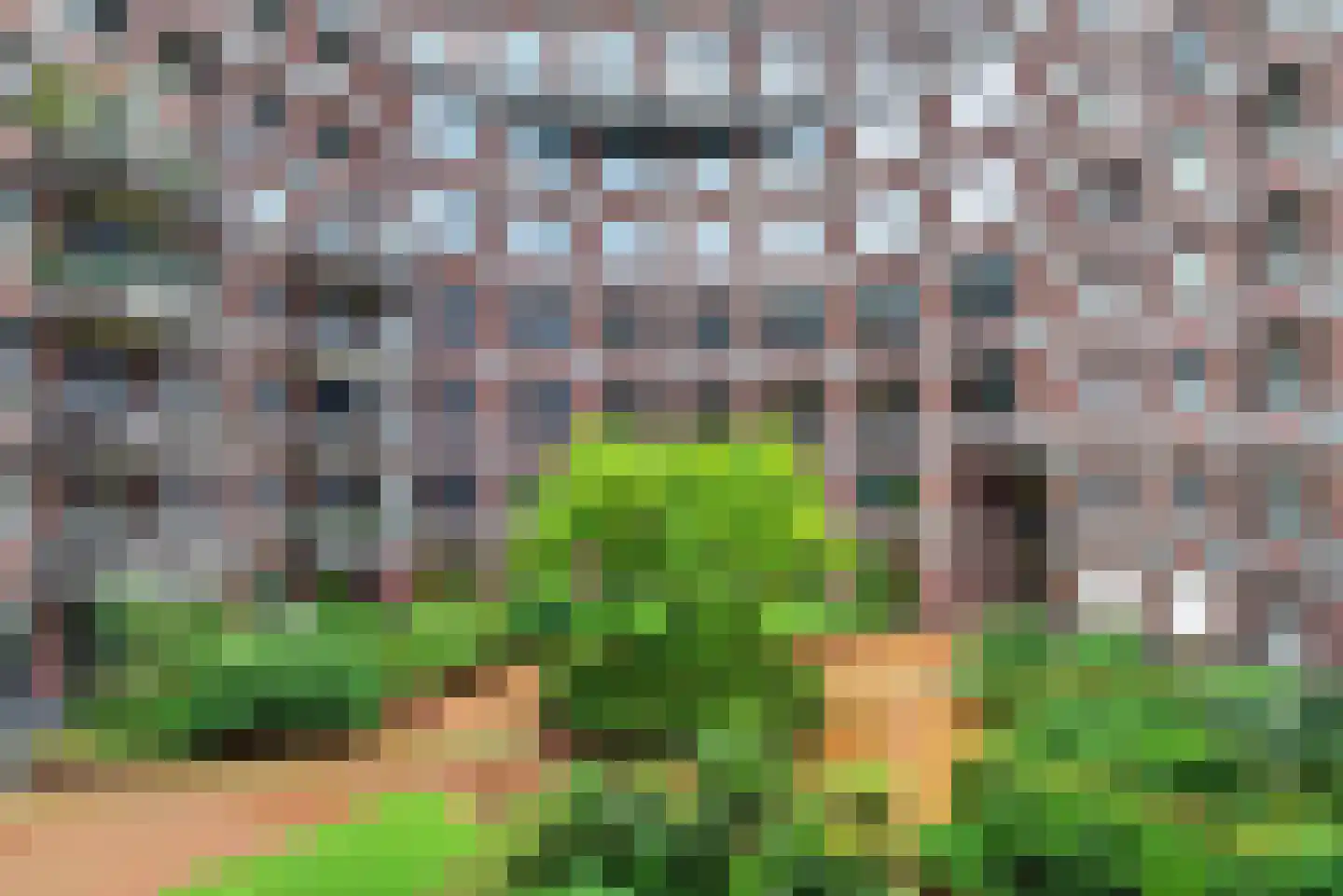 Bordeslaan 416 's-Hertogenbosch thumbnail 27