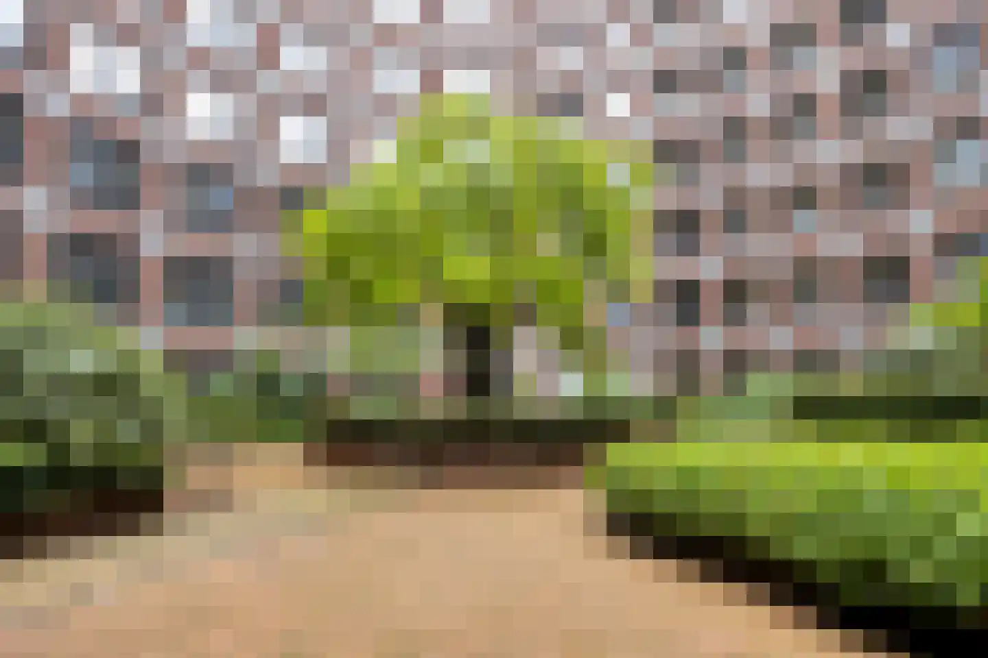 Bordeslaan 438 's-Hertogenbosch thumbnail 28