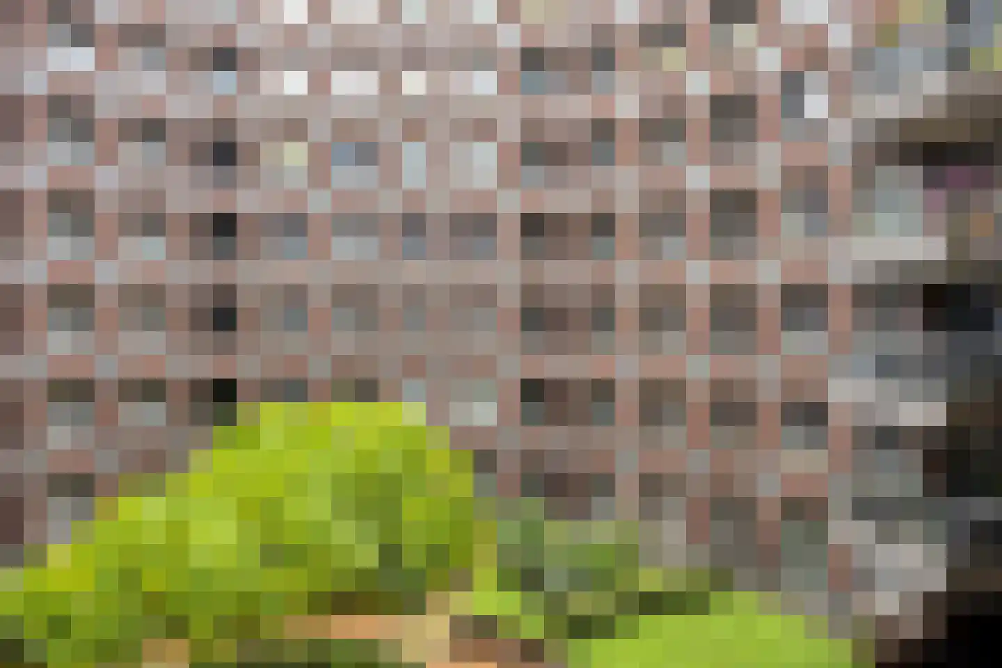 Bordeslaan 438 's-Hertogenbosch thumbnail 29