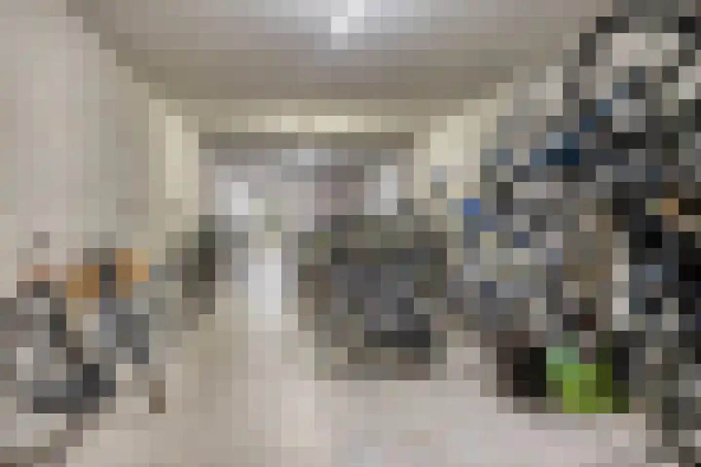 Bordeslaan 438 's-Hertogenbosch thumbnail 34