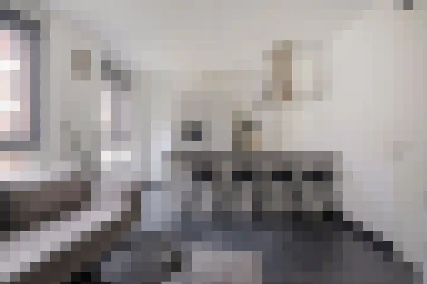 Bordeslaan 438 's-Hertogenbosch thumbnail 4