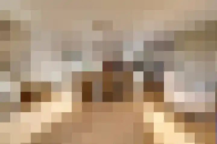 Bordeslaan 441 's-Hertogenbosch thumbnail 10