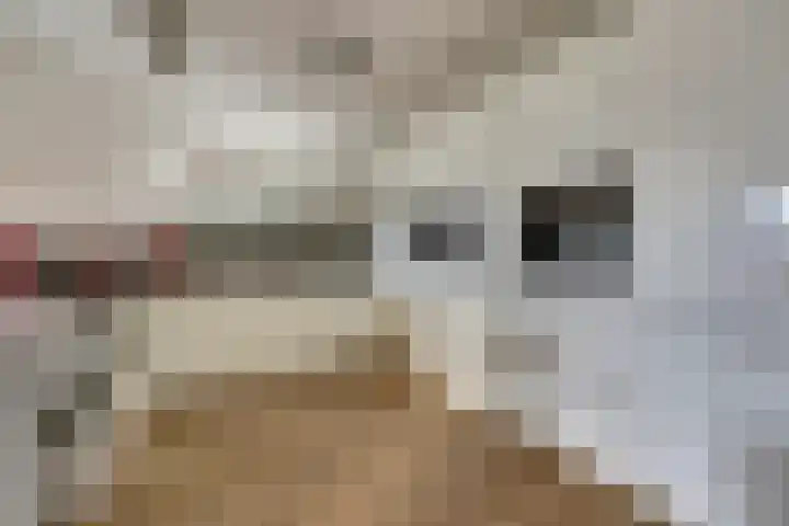 Bordeslaan 441 's-Hertogenbosch thumbnail 13