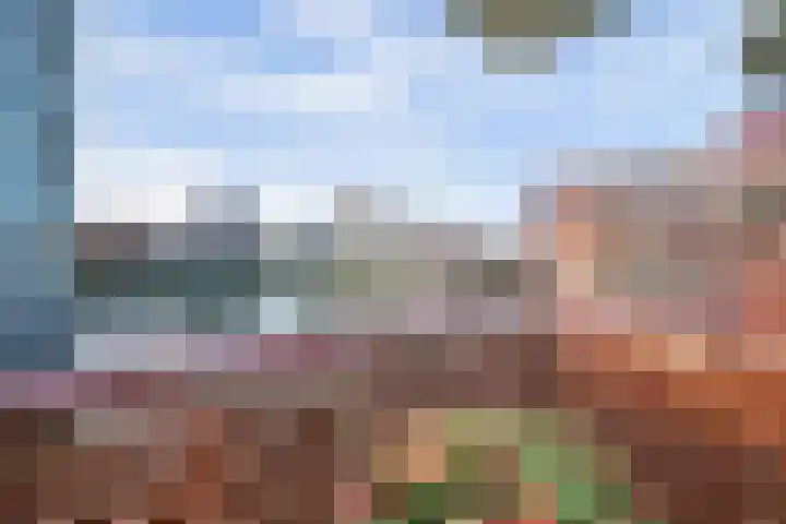Bordeslaan 441 's-Hertogenbosch thumbnail 18
