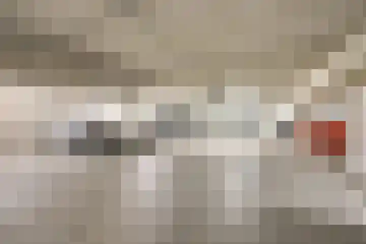Bordeslaan 441 's-Hertogenbosch thumbnail 36