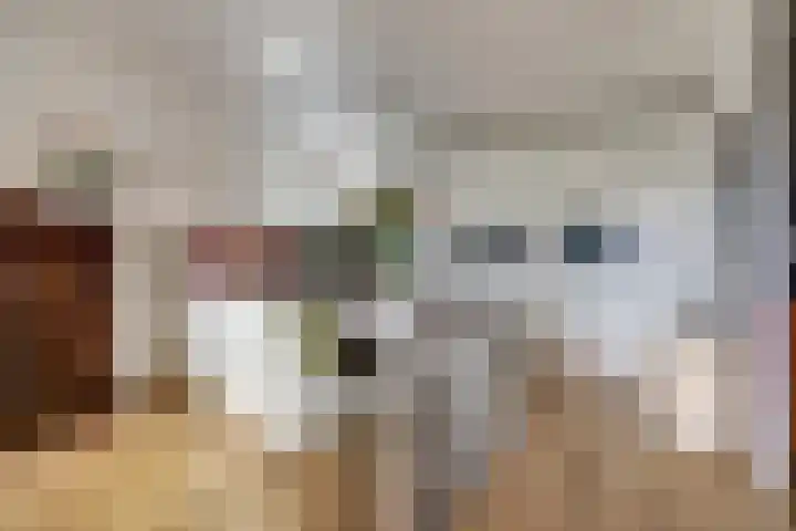 Bordeslaan 441 's-Hertogenbosch thumbnail 4