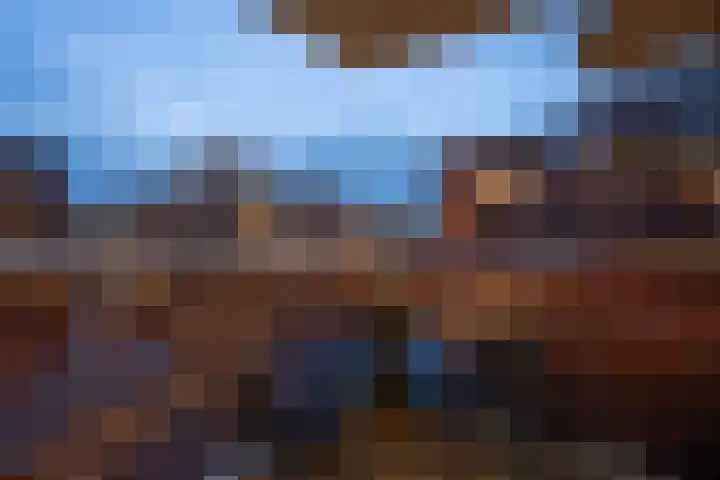 Bordeslaan 441 's-Hertogenbosch thumbnail 6