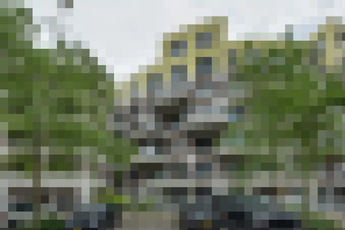 Bordeslaan 442 's-Hertogenbosch