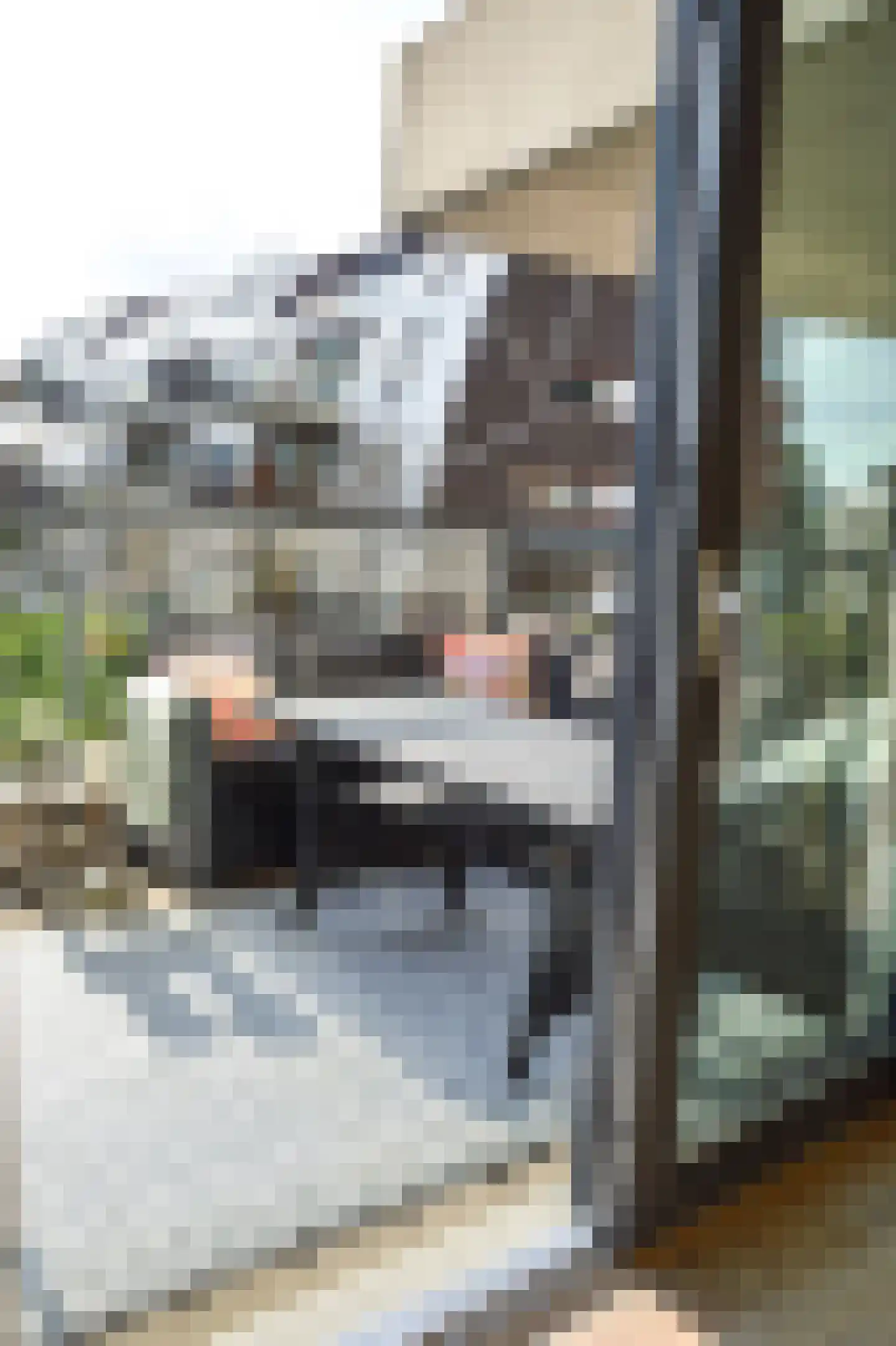 Bordeslaan 446 's-Hertogenbosch thumbnail 18