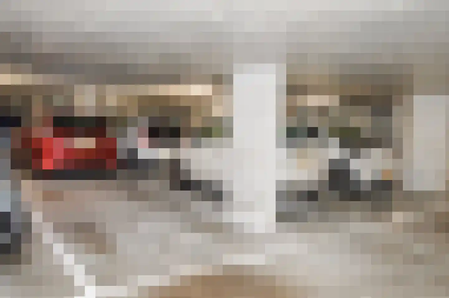 Bordeslaan 446 's-Hertogenbosch thumbnail 25