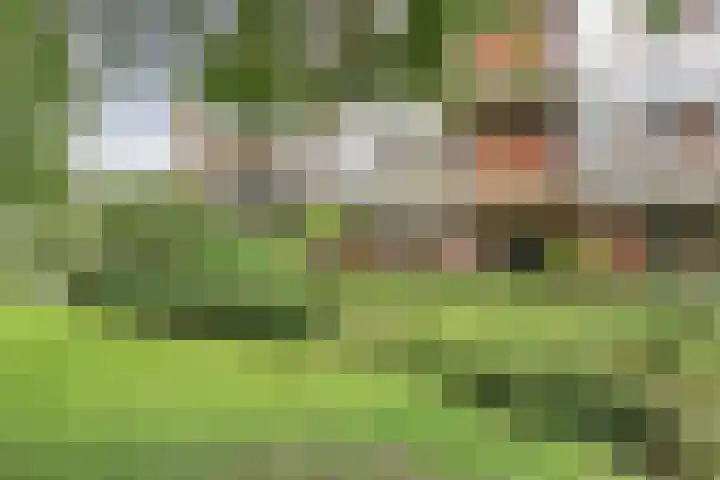 Bordeslaan 55 's-Hertogenbosch thumbnail 16