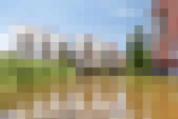 Bordeslaan 55 's-Hertogenbosch thumbnail 42