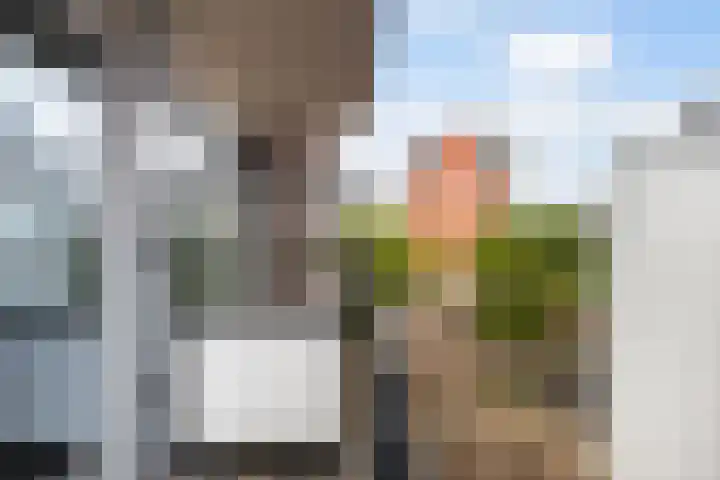 Bordeslaan 66 's-Hertogenbosch thumbnail 19