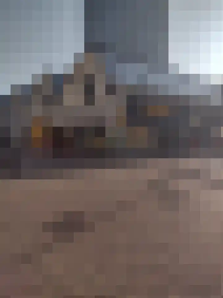 Bordeslaan 66 's-Hertogenbosch thumbnail 26