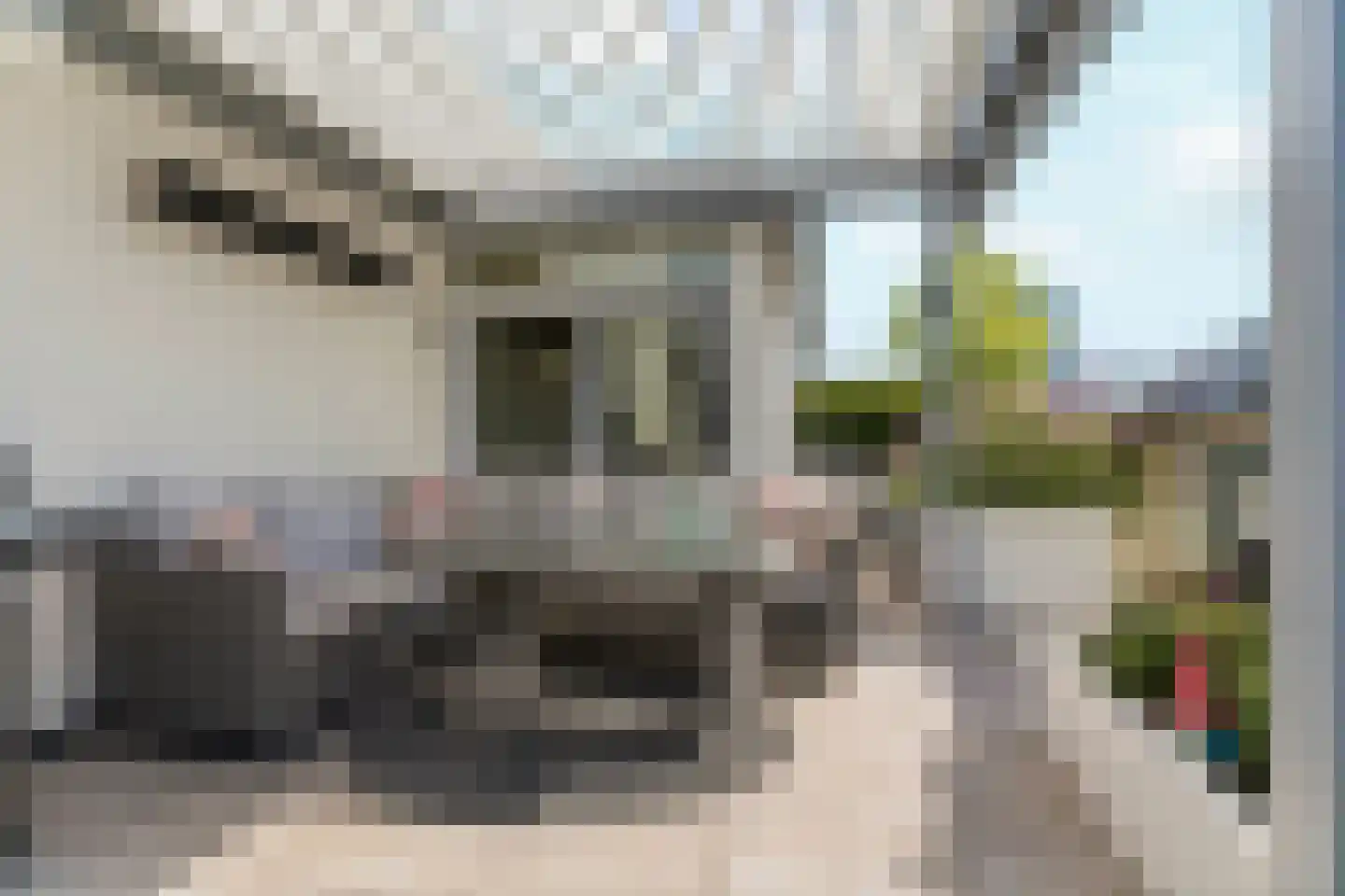 Bordeslaan 74 's-Hertogenbosch thumbnail 63