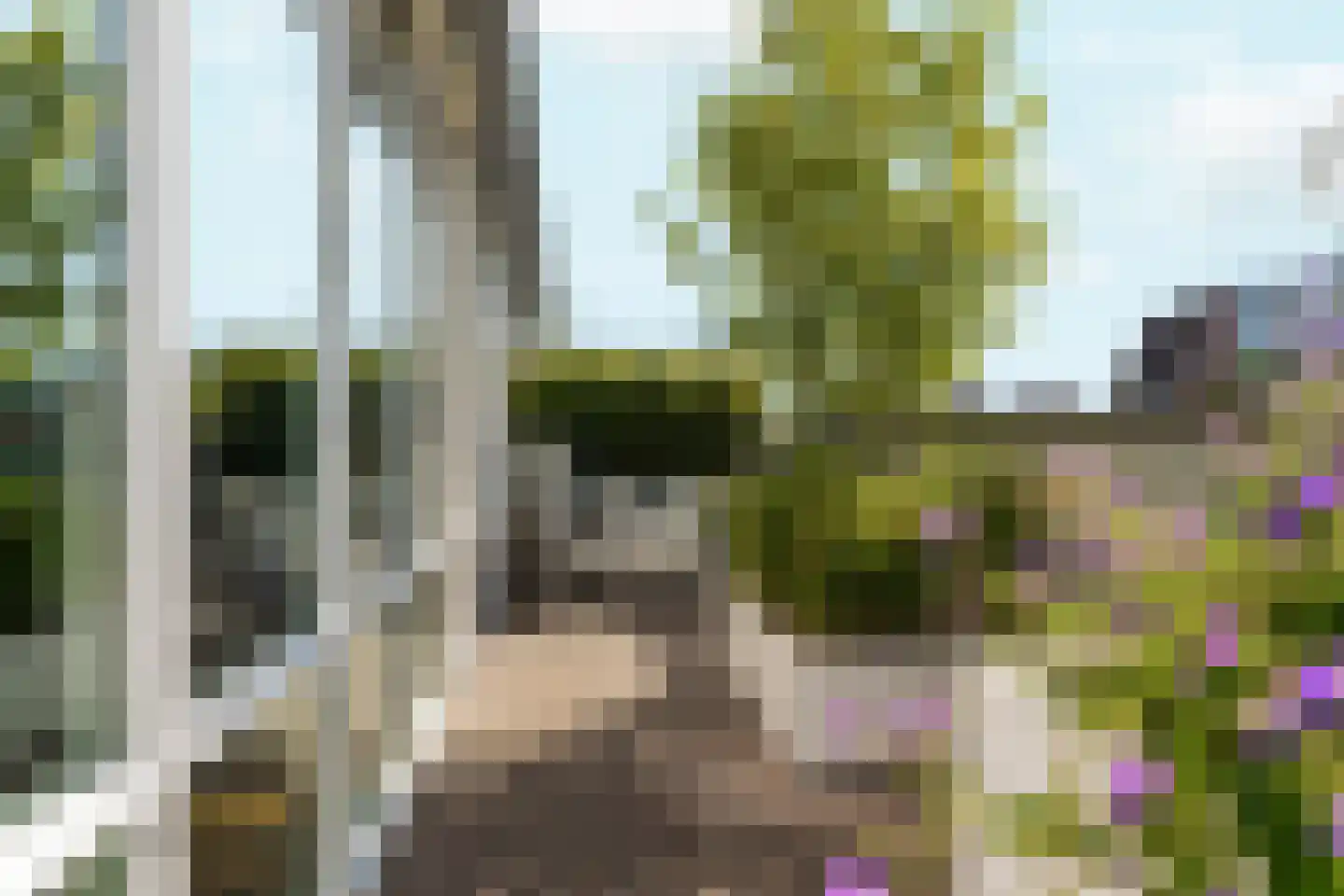 Bordeslaan 74 's-Hertogenbosch thumbnail 65