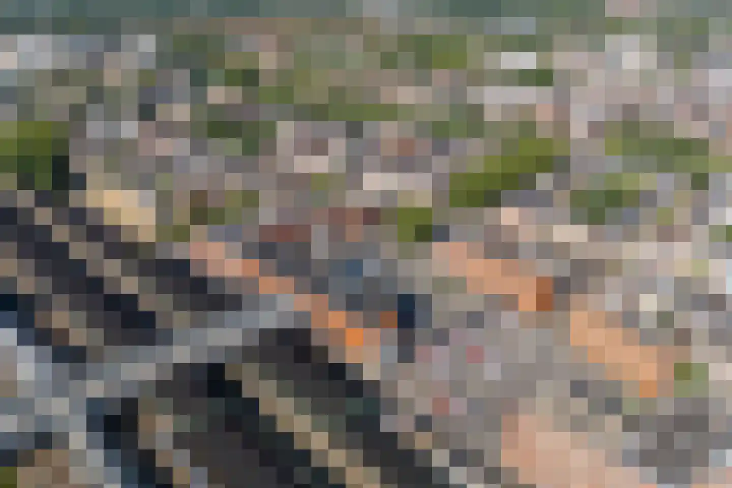 Bordeslaan 74 's-Hertogenbosch thumbnail 84