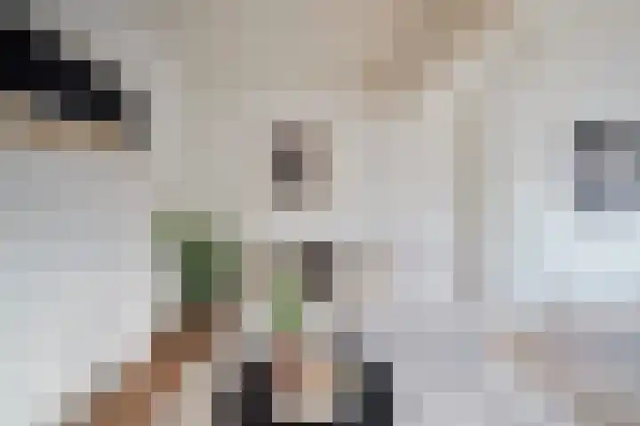 Bordetstraat 10 Hilversum thumbnail 15