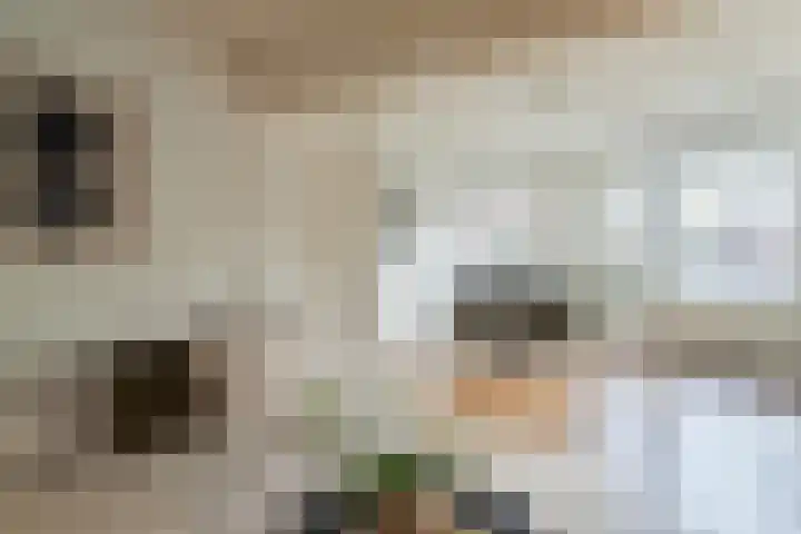 Bordetstraat 10 Hilversum thumbnail 4