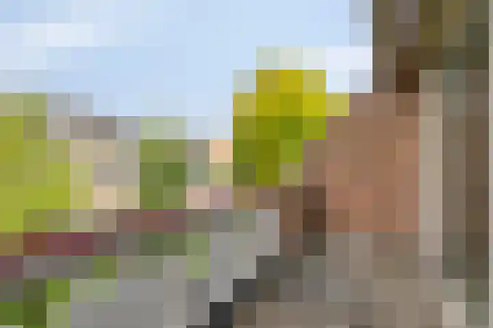 Bordewijklaan 133 Groningen thumbnail 23