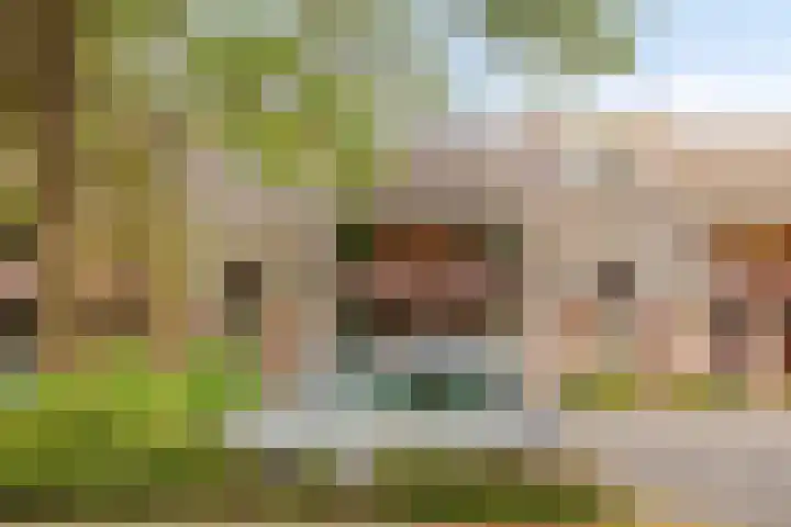 Bordewijklaan 133 Groningen thumbnail 4