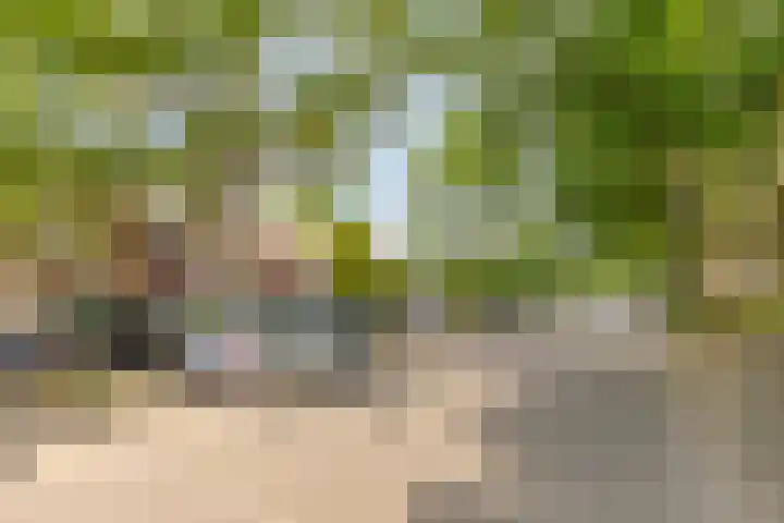Bordewijklaan 133 Groningen thumbnail 5