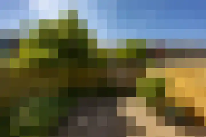 Bordewijklaan 137 Groningen thumbnail 22