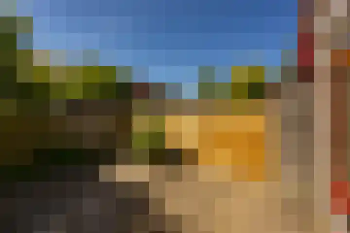Bordewijklaan 137 Groningen thumbnail 23