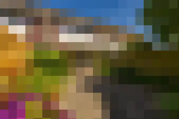 Bordewijklaan 137 Groningen thumbnail 24