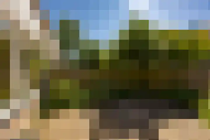 Bordewijklaan 137 Groningen thumbnail 26