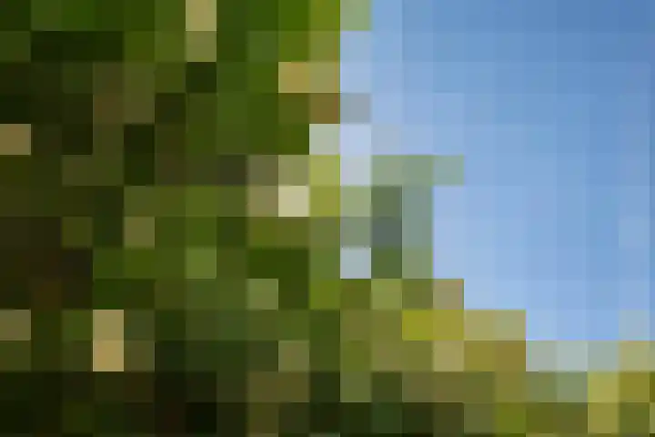 Bordewijklaan 137 Groningen thumbnail 27
