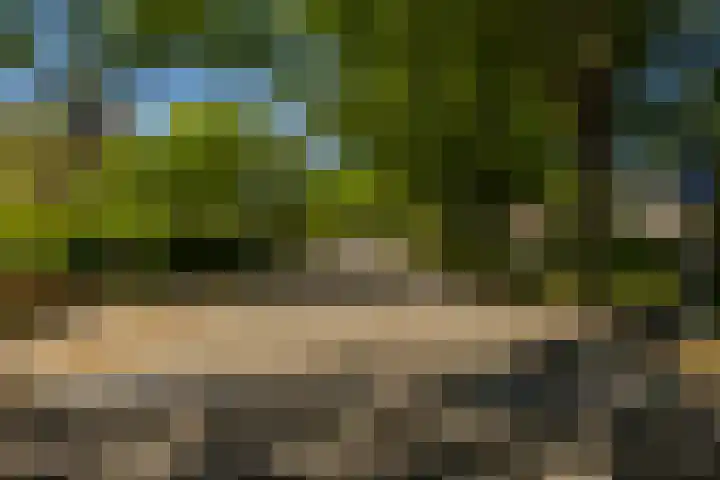 Bordewijklaan 137 Groningen thumbnail 30