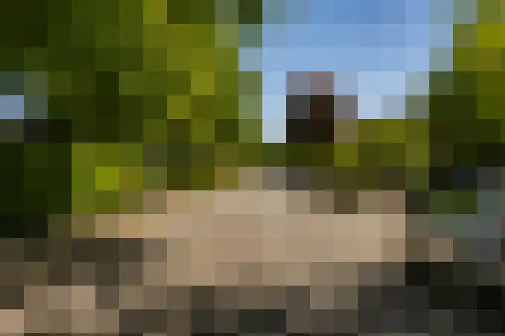 Bordewijklaan 137 Groningen thumbnail 31