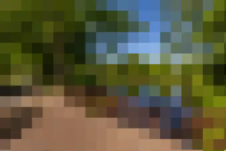 Bordewijklaan 137 Groningen thumbnail 32