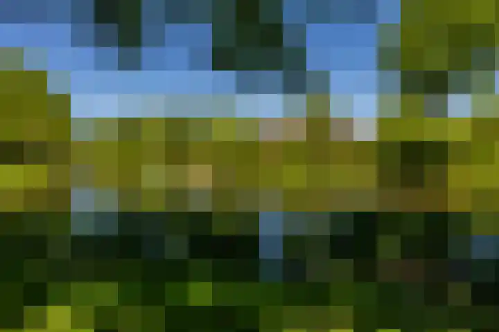 Bordewijklaan 137 Groningen thumbnail 33