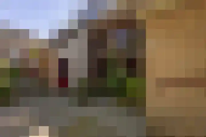Bordewijklaan 137 Groningen thumbnail 4
