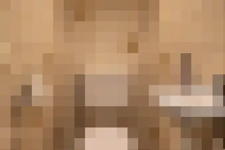 Bordewijklaan 137 Groningen thumbnail 7