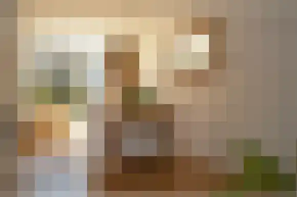 Bordewijklaan 65 Groningen thumbnail 5